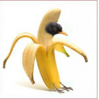 Colamsel - Bild 6