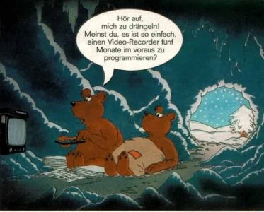 knuddelbär - Bild 2