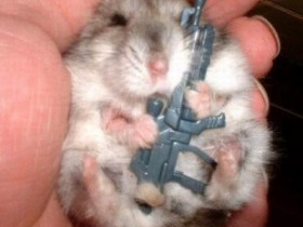 bountyhunter - Bild 3