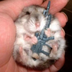 bountyhunter - Bild 3