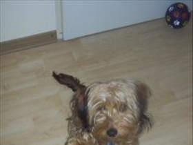 Ani91 - Bild 2