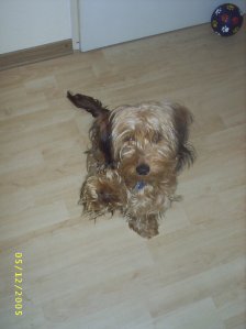 Ani91 - Bild 2