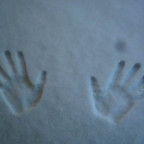 CrazyThing - Bild 5