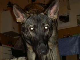 Knuddel15 - Bild 2