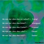 FSL2006 - Bild 11