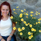 repipipi - Bild 11
