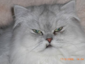 HungryEyes - Bild 7