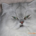 HungryEyes - Bild 7
