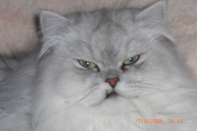 HungryEyes - Bild 7