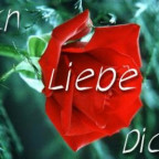 Franky_FX - Bild 8