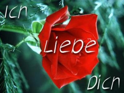 Franky_FX - Bild 8