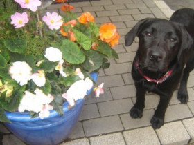 Melinda - Bild 5