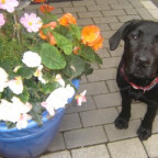 Melinda - Bild 5
