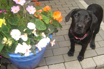 Melinda - Bild 5