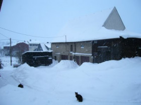 Cathleen30 - Bild 7