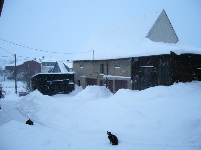 Cathleen30 - Bild 7