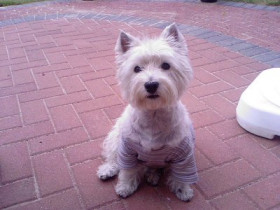 nelly20000 - Bild 2
