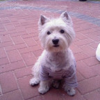 nelly20000 - Bild 2