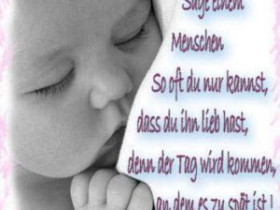 filox4 - Bild 2