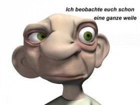 gay_und_bi - Bild 2