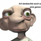 gay_und_bi - Bild 2
