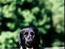 schuby30 - Bild 4
