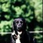 schuby30 - Bild 4