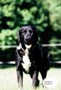 schuby30 - Bild 4