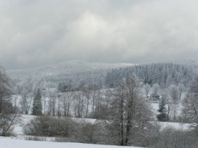 zbynek - Bild 2