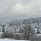 zbynek - Bild 2
