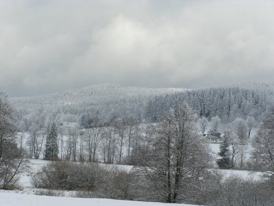 zbynek - Bild 2