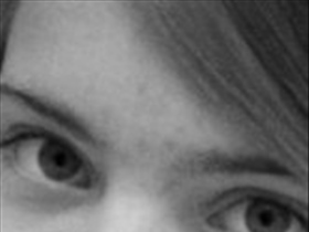 Epice - Bild 1