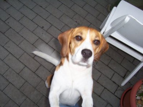franky888_ETP - Bild 4