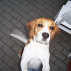 franky888_ETP - Bild 4