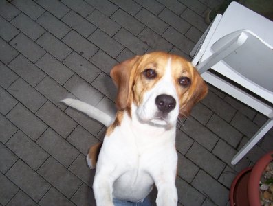 franky888_ETP - Bild 4