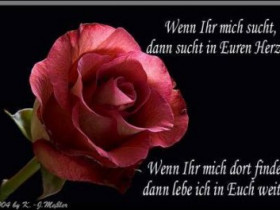 Justified - Bild 2