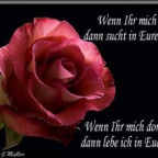 Justified - Bild 2
