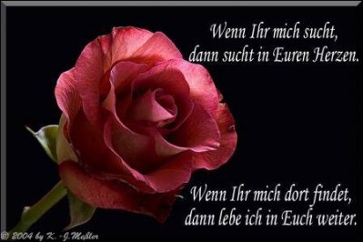 Justified - Bild 2