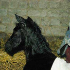 Countrygirl - Bild 3