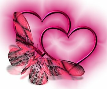 Prija007 - Bild 2