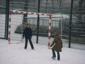 zicke1 - Bild 2
