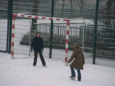 zicke1 - Bild 2