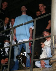 VATOR - Bild 3