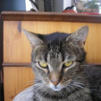 darknis - Bild 2