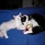 thesa - Bild 3