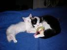 thesa - Bild 3