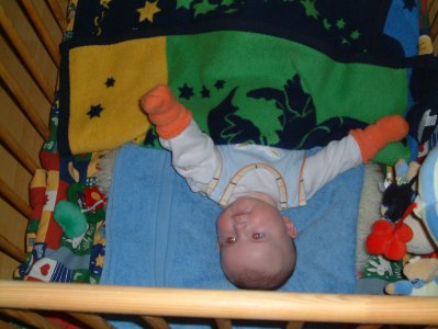 N37 - Bild 4