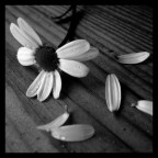 XxGlamourousxX - Bild 5