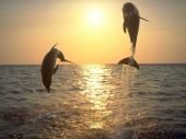 Cooler-Süßer-Boy_19 - Bild 5