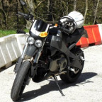 sappul - Bild 2